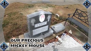 ⚜️EP14 In Memory To Our Precious Micky Mouse [upl. by Senzer]