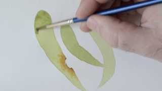 Botanical Art Tutorial  Tea Wash [upl. by Meadow]