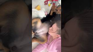 Her reaction at the end 😭 Rottweiler Love [upl. by Mosby]