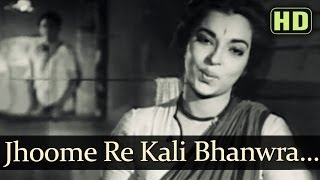 Jhoome Re Kali Bhanvaraa HD  Naukri Songs  Kishore Kumar  Sheela Ramani  Geeta Dutt [upl. by Annaeg]