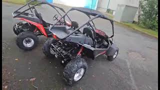 hammerhead gts 150 se limited edition off road buggy at muckandfun Mega store wicklow Home delivery [upl. by Aloisia]