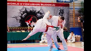 XVIII Turniej Karate Kyokushin o Puchar Burmistrza Józefowa 4112017 [upl. by Anyer217]