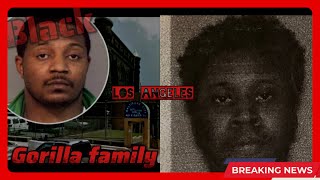 BLACK GUERRILLA FAMILY HOW THEY TAKEN OVER LOS ANGELES [upl. by Ahsyle]