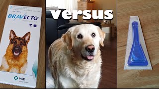 My Dog testing Bravecto Pill vs Spot Ons Anti Flea and Tick protection [upl. by Berliner]