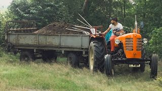 Wtopa⁉️ Obornik amp Orka 2023🔥 Ursus c 4011 w akcji🚜 Gospodarstwo od Zera 🎥 [upl. by Gignac]