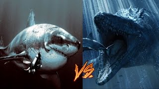 Megalodon vs MosasaurMy Thoughts [upl. by Omari933]