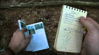 Foraging Edible Plants  Yarrow  Wild Food [upl. by Eydie142]