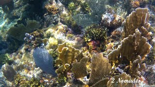 SNORKELING 8 PART 3  STARFISH JIBACOA VILLA TROPICO  CUBA [upl. by Lebar874]