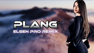 Elsen Pro amp Adrian Minune  Plang [upl. by Tehr777]