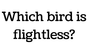 Which bird is flightless birds [upl. by Mcfadden]