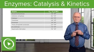 Enzymes Catalysis Kinetics amp Classification – Biochemistry  Lecturio [upl. by Janos]