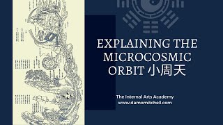 Microcosmic Orbit 小周天 Free InDepth Training with Damo Mitchell [upl. by Dann]