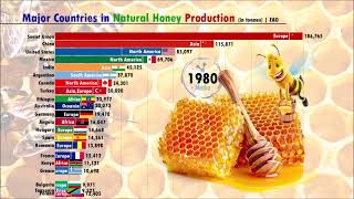 Honey Production by country 19602019  FAO [upl. by Barboza]