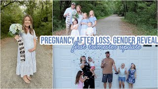 FIRST TRIMESTER UPDATE  GENDER REVEAL  APPOINTMENT  SPEND THE DAY WITH ME  PREGNANCY AFTER LOSS [upl. by Gerick]