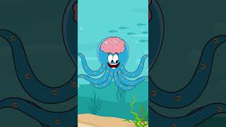 Does an Octopus have Nine Brains  aumsum kids shorts science [upl. by Duax]