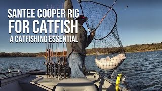 Santee Cooper Rig For Catfish A Catfishing Essential [upl. by Kcirdorb]