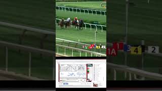 horseracing horseracingtips big score at Saratoga Race Course horsesports sportsbetting [upl. by Ettenad]