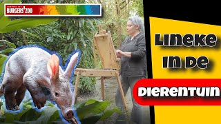 Dieren tekenen in dierentuin Burgers Zoo  Aardvarken  Dier 1 [upl. by Ankney]