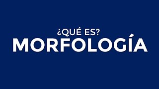 ¿Qué es la MORFOLOGÍA [upl. by Noellyn]