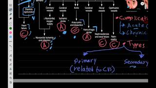 Therapeutics Hypertension 2 [upl. by Tudela]