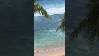 The best waves ever kaanapali Maui Hawaii [upl. by Keryt]