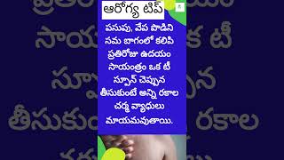 ఆరోగ్య టిప్  చర్మ వ్యాధులు టిప్  skin diseases TheWellnessWayW healthywayoflife [upl. by Porche10]