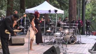 Sheila E Live at Stern Grove Festival [upl. by Coffeng]