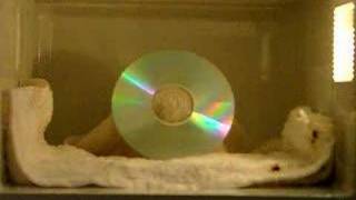 THE BEST CD In Microwave [upl. by Rennoc]