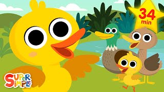 Ducks Ducks Ducks 🦆  Quacky Kids Songs  Super Simple Songs [upl. by Yerbua]