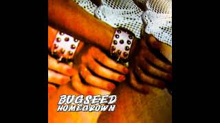 BUGSEED  LOOSE ENDS [upl. by Ahsirt]