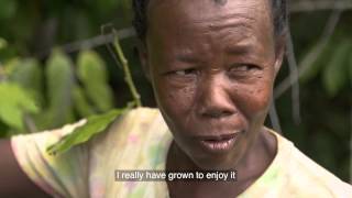 CoImpact Sourcing of Ylang Ylang from Madagascar [upl. by Koerner]