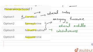 Which of the following is a mineralocorticoid [upl. by Okihsoy]