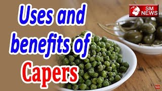 Uses and Benefits of capers plant [upl. by Oyr]