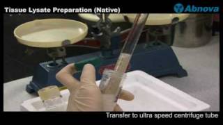 Tissue Lysate Preparation Native [upl. by Jeralee]