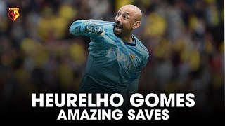 HEURELHO GOMES  AMAZING PREMIER LEAGUE SAVES 🙌 [upl. by Natie]