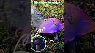 ¿ RECUERDAN EL NOMBRE DE LA PLANTA  plantsvszombies apocalypsegames naturaleza plantsvszombies2 [upl. by Adnwahs]