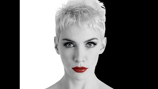 Annie Lennox  No More I Love Yous Lyrics [upl. by Aserret]