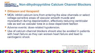 Francesca Gutierrez PharmD  Chemical Shocks to the Heart Antiarrhythmics [upl. by Letha]