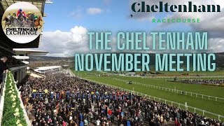 Cheltenham November Meeting Preview  Episode 6  Predictions  Tips  Selections  Horse Racing [upl. by Natanoj250]