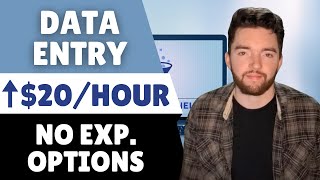 3 Newest Remote Data Entry Jobs for Beginners  No Experience Options [upl. by Atthia]