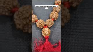 1 mukhi Nepali underdeveloped kantha 33 bead [upl. by Spitzer140]