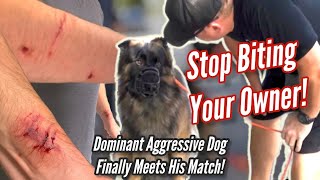 Aggressive amp Dominant GSD Attacks Trainer AND FINALLY MEETS HIS MATCH [upl. by Zane786]