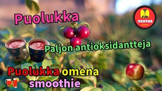 Puolukka omena smoothie Puolukka Paljon antioksidantteja [upl. by Meunier]