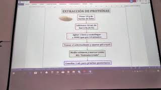 Extracción de proteínas Obteniendo albúminas y globulinas [upl. by Adnomar]