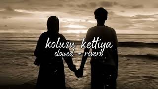 kolusu kettiya  slowed  reverb  lavudikkana neramayitha song [upl. by Cuttie]