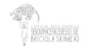 Lofficina della camomilla  Briciola Skinhead [upl. by Landa948]