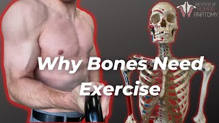 How Your Bones Change With Exercise [upl. by Ived]