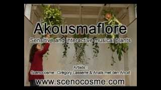 Akousmaflore interactive plants  Scenocosme  Gregory Lasserre amp Anais met den Ancxt [upl. by Samford]