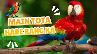 Main Toota Main Toota 🦜  Hilarious Parrot Song for Kids 🎶  Fun Hindi Nursery Rhymes [upl. by Ttirrem]