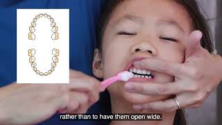 Parents’ Guide to Toothbrushing and Flossing for Children ages 36 years old [upl. by Aleihs]